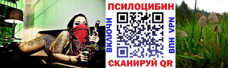 купить закладку  Покровск  Псилоцибиновые грибы мухоморы 